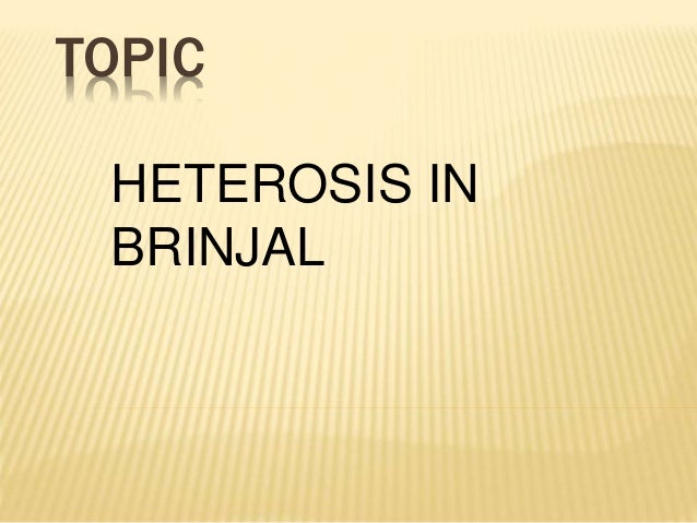 heterosis brinjal